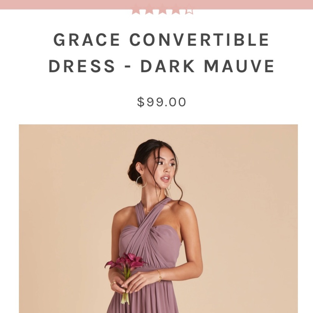 Birdy Grey Bridesmaid Dress NWT